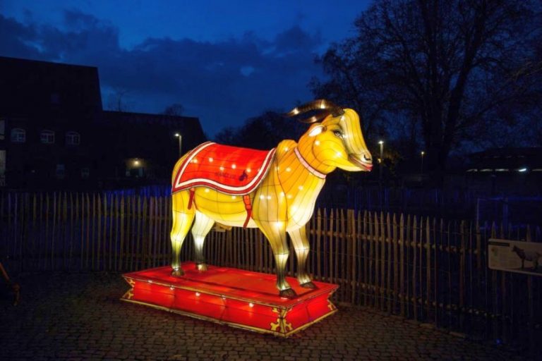 Kölner Zoo Weihnachten 2022 FotoGalerie Das erwartet Sie beim China Light Festival im Kölner Zoo!