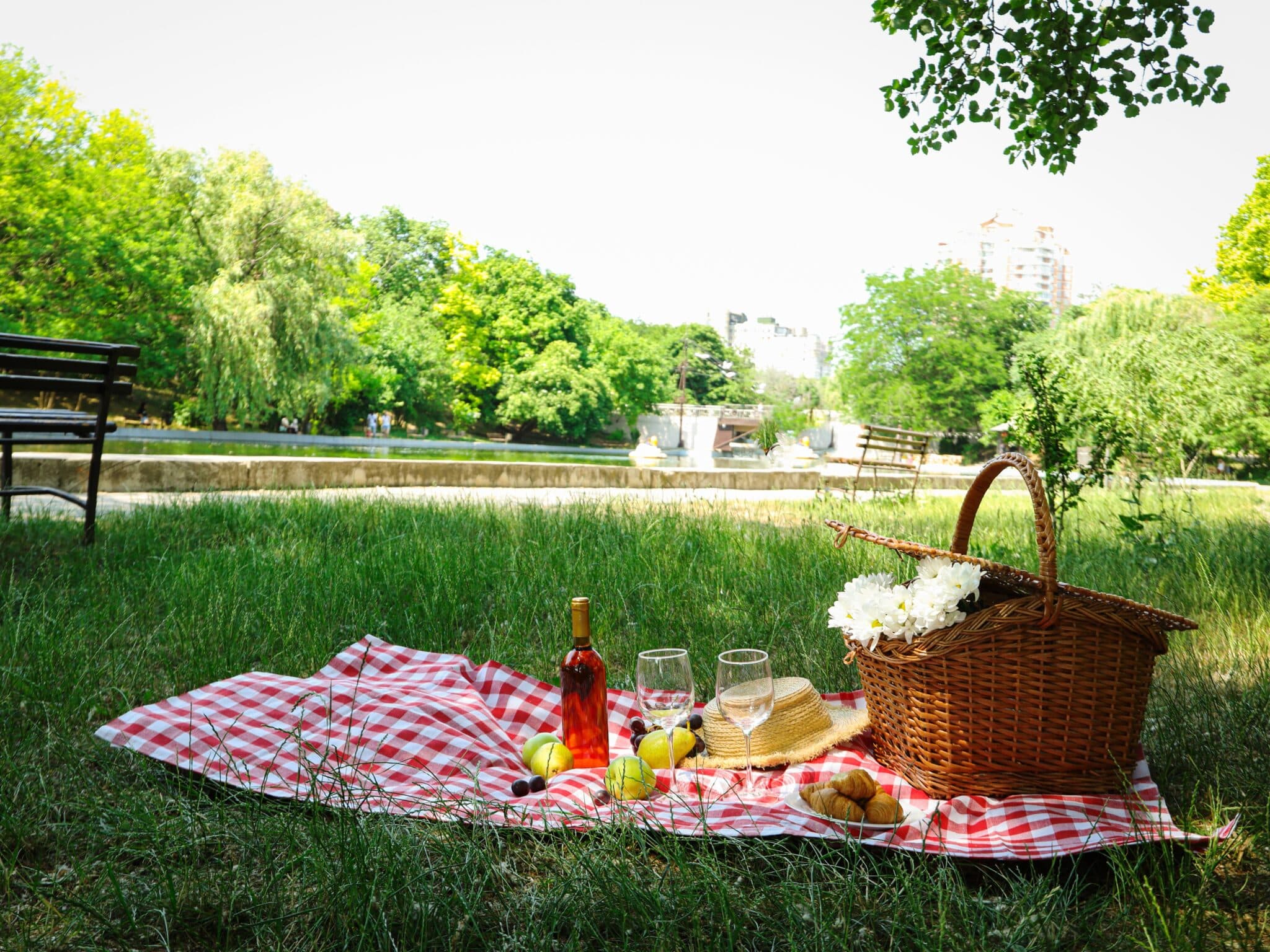 Tipps für das perfekte Picknick