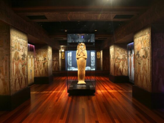 Ägyptische Schätze in Köln: die Ausstellung Ramses & das Gold der Pharaonen. Das Highlight der Ausstellung: der Zedernholzsarg Ramses II.